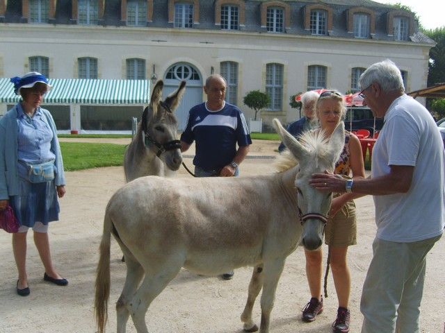 fete 2016 (21).jpg